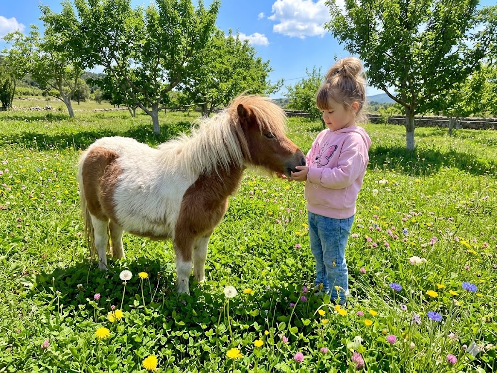 Mini zoo – patuljaste životinje na ljetnikovcu