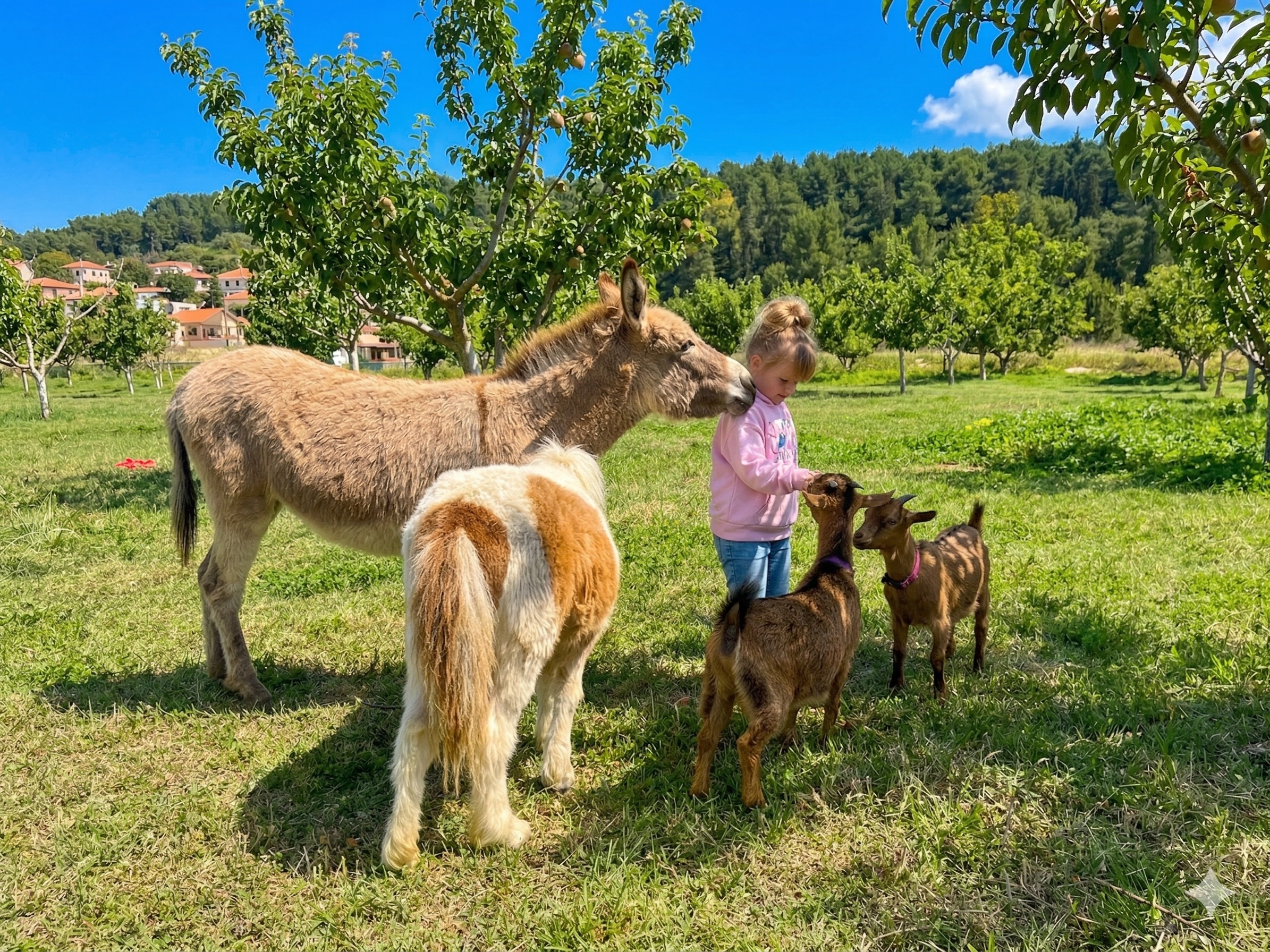 Mini zoo – djeca i životinje