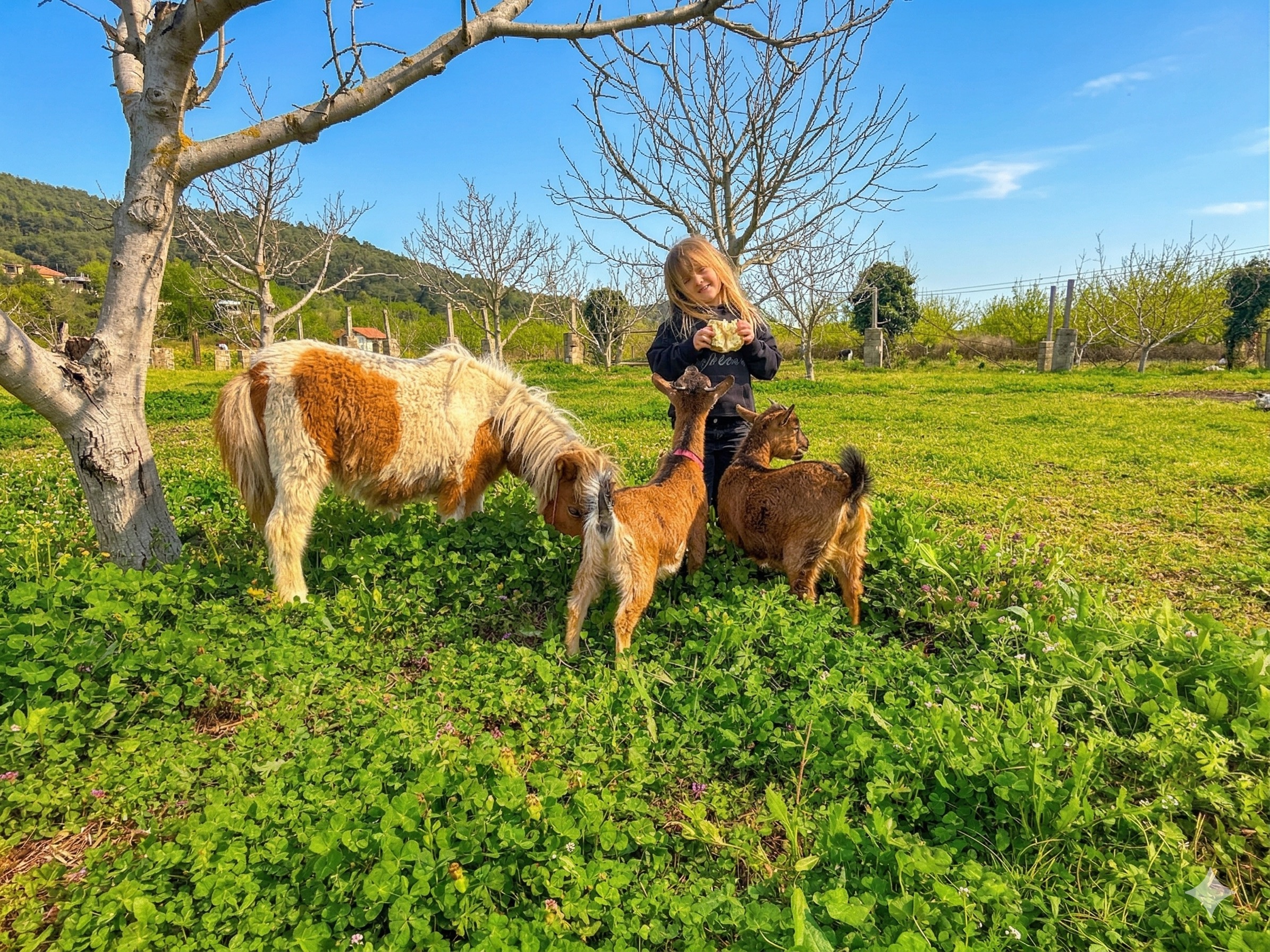 Mini zoo – nježan susret s prirodom